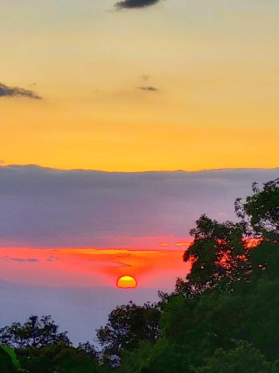 Casa Urraca, Magnifica Vista Al Oceano Pacifico Villa Monteverde Rum bild